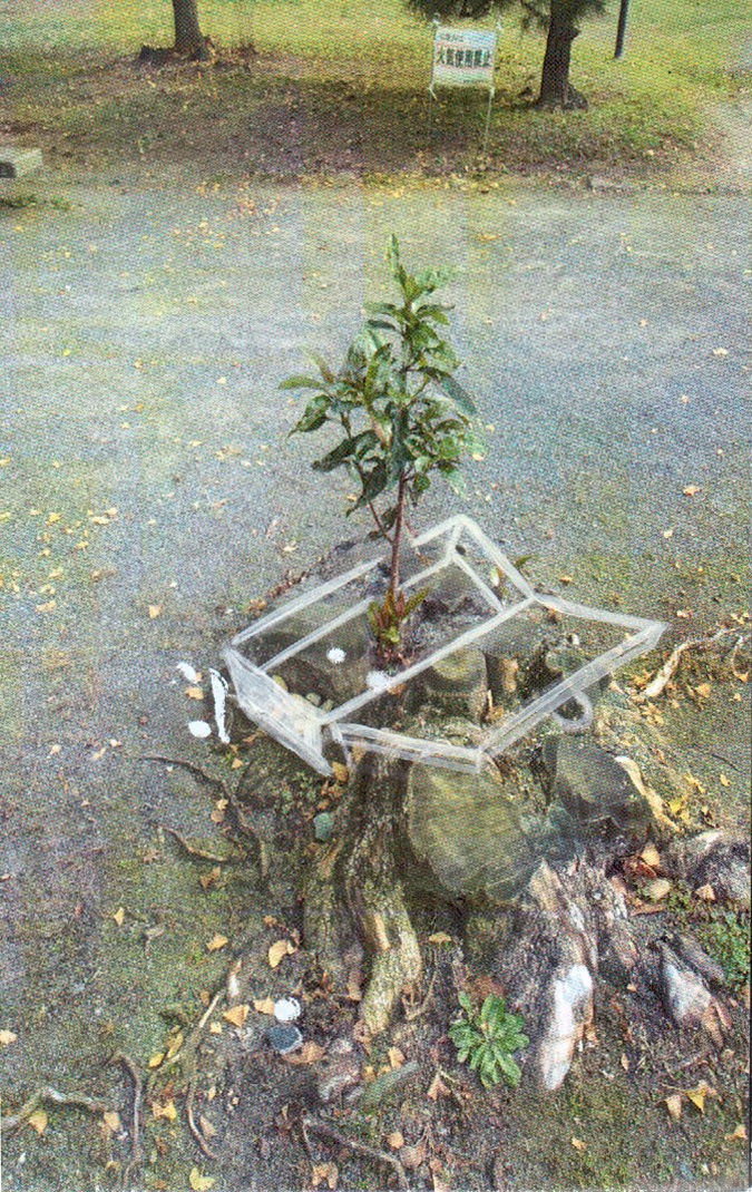 관심이 필요할 때 (2013)