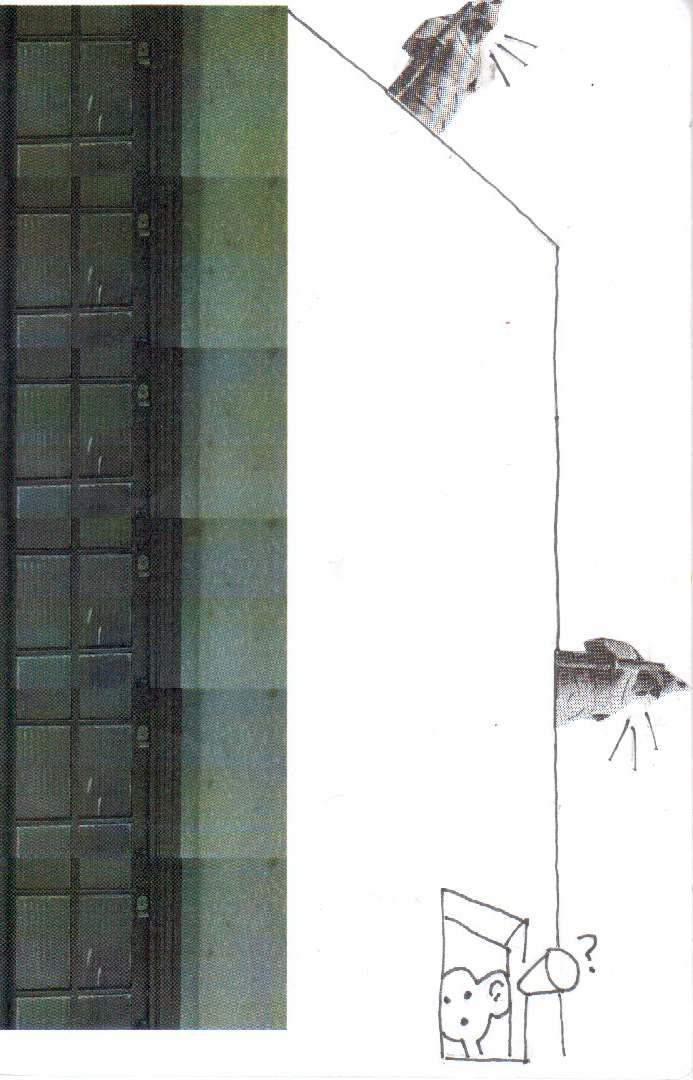 들리지 않는 외침 (2013)